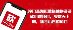 冷门蓝海批量搭建拼多多砍价群项目,收益无上限,适合小白的风口-优优云创网