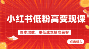 小红书低粉高变现课-降本增效，更低成本精准获客，小红书必爆的流量密码-优优云创网