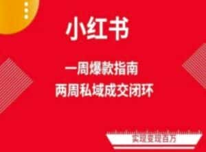 爆款小红书免费流量体系课程(两周变现),小红书电商教程-优优云创网