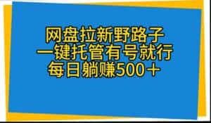 （10468期）网盘拉新野路子，一键托管有号就行，全自动代发视频，每日躺赚500＋-优优云创网