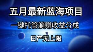 (10469期)五月刚出最新蓝海项目一键托管 躺赚收益分成 日产无上限-优优云创网