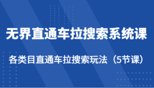 无界直通车拉搜索系统课-各类目直通车拉搜索玩法(5节课)-优优云创网