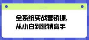 全系统实战营销课,从小白到营销高手-优优云创网