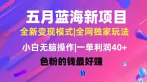 (10477期)五月蓝海项目全新玩法,小白无脑操作,一天几分钟,矩阵操作,月入4万+-优优云创网