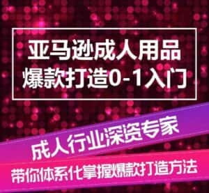 亚马逊成人用品爆款打造0-1入门,系统化讲解亚马逊成人用品爆款打造的流程-优优云创网