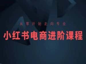 从零开始走向专业，小红书电商进阶课程-优优云创网