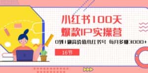 (10490期)小红书100天-爆款IP实操营,0到1做高价值小红书号 每月多赚3000+(16节)-优优云创网
