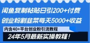 闲鱼复制粘贴日引200+付费创业粉，24年5月最新方法！割韭菜日稳定5000+收益-优优云创网