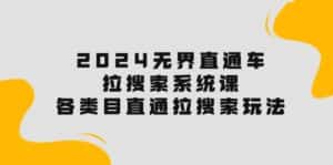 （10508期）2024无界直通车·拉搜索系统课：各类目直通车 拉搜索玩法！-优优云创网