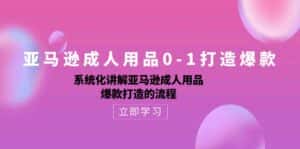亚马逊成人用品0-1打造爆款:系统化讲解亚马逊成人用品爆款打造的流程-优优云创网
