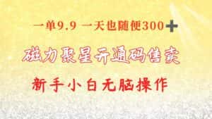（10519期）快手磁力聚星码信息差 售卖  一单卖9.9  一天也轻松300+ 新手小白无脑操作-优优云创网