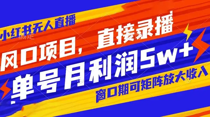 风口项目，小红书无人直播带货，直接录播，可矩阵，月入 5w+-优优云创网