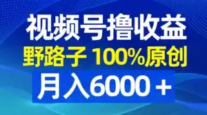 视频号野路子撸收益，100% 原创，条条爆款，月入 6000+-优优云创网