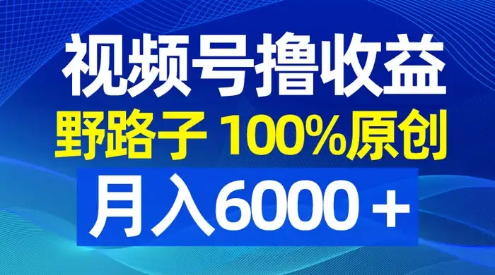 图片[1]-视频号野路子撸收益，100% 原创，条条爆款，月入 6000+-优优云创网