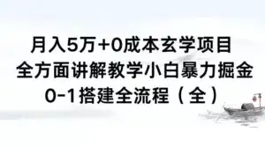 月入 5 万+ 0 成本玄学项目，全方面讲解教学，0-1 搭建全流程（全）小白暴力掘金-优优云创网