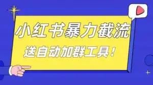 小红书截流引流大法,简单无脑粗暴,日引 20-30 个高质量创业粉-优优云创网