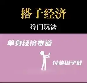 靠搭子经济月入5万每天两小时简单无脑好上手-优优云创网
