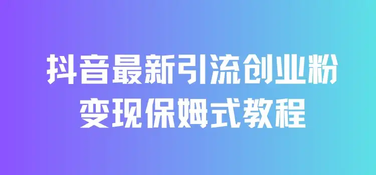 抖音最新引流创业粉+变现保姆式教程 直接无脑套模板即可-优优云创网