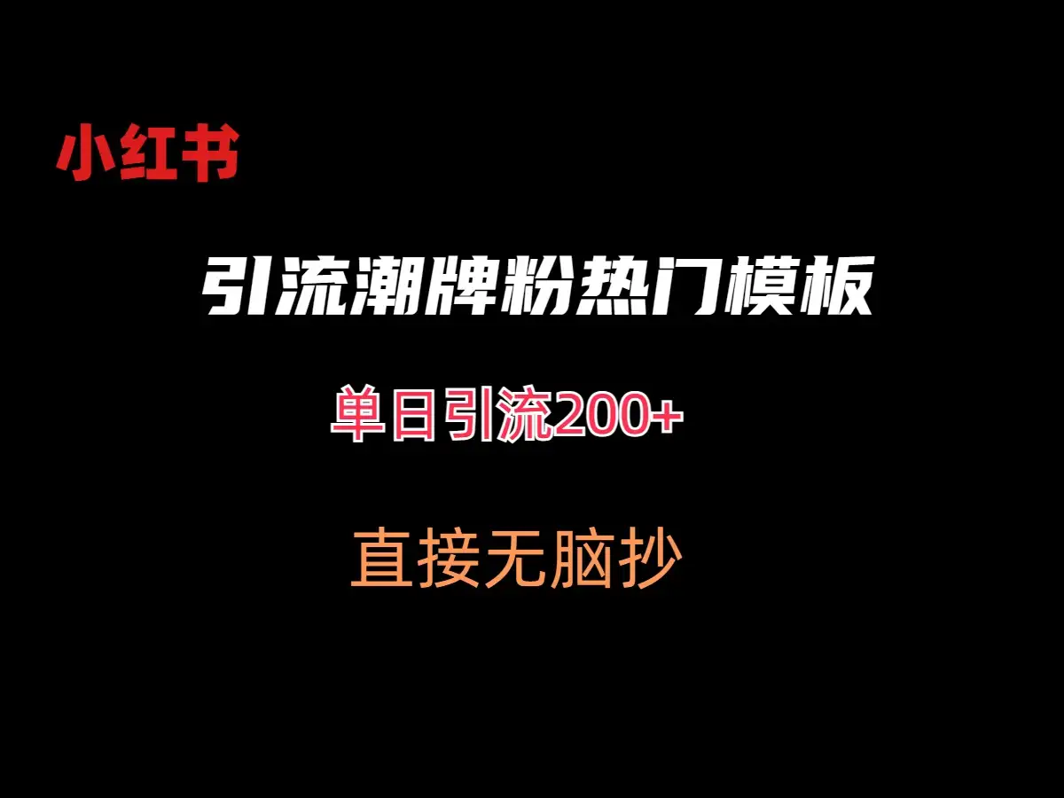 最新小红书无脑套模板单日引流200+潮牌粉-优优云创网