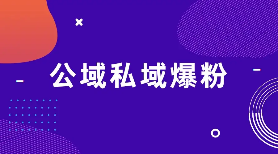 项目拆解视频制作教程从零到一，公域私域爆粉-优优云创网