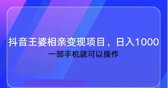 抖音王婆相亲变现私域项目，日入1000+ 一部手机就可操作-优优云创网