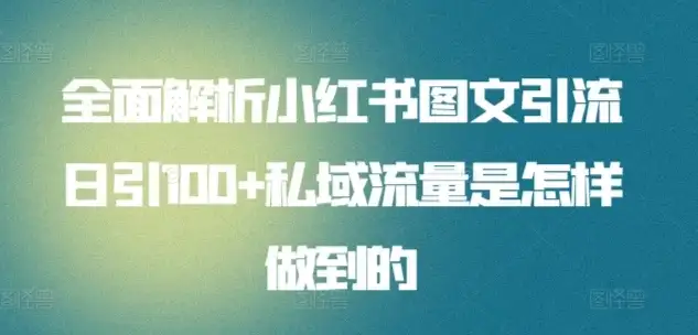 全面解析小红书图文引流日引100私域流量是怎样做到的-优优云创网