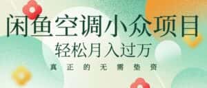 （10525期）闲鱼卖空调小众项目 轻松月入过万 真正的无需垫资金-优优云创网