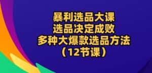 暴利选品大课：选品决定成败，教你多种大爆款选品方法(12节课)-优优云创网