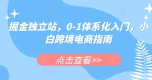 掘金独立站,0-1体系化入门,小白跨境电商指南-优优云创网