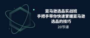 (10533期)亚马逊选品实战班,手把手带你快速掌握亚马逊选品的技巧(20节课)-优优云创网