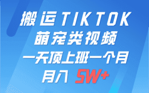 一键搬运TIKTOK萌宠类视频,一部手机即可操作,所有平台均可发布 轻松月入5W+-优优云创网