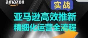 亚马逊高效推新精细化运营全流程，全方位、快速拉升产品排名和销量!-优优云创网
