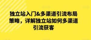 独立站入门&多渠道引流布局策略，详解独立站如何多渠道引流获客-优优云创网