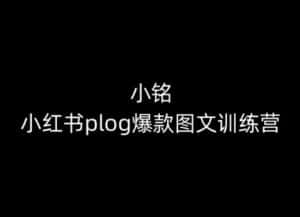 小铭-小红书plog爆款图文训练营,教你从0-1做小红书-优优云创网