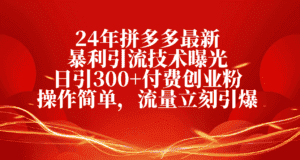 (10559期)24年拼多多最新暴利引流技术曝光,日引300+付费创业粉,操作简单,流量…-优优云创网