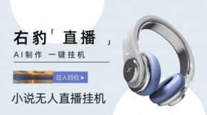 右豹小说无人直播挂机吸金项目,简单易行收益稳定, 月入1000+-优优云创网