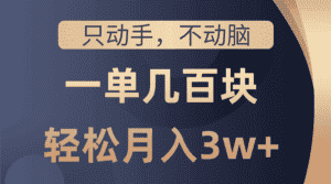 （10561期）只动手不动脑，一单几百块，轻松月入3w+，看完就能直接操作，详细教程-优优云创网