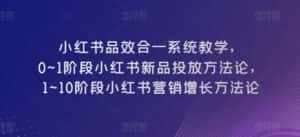 小红书品效合一系统教学,0~1阶段小红书新品投放方法论,1~10阶段小红书营销增长方法论-优优云创网