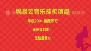 (10577期)网易云音乐挂机项目,单机200+,躺赚即可,正在红利期,无脑且暴力-优优云创网