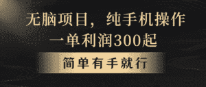 （10589期）无脑项目，一单几百块，轻松月入5w+，看完就能直接操作-优优云创网
