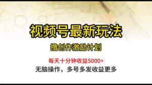 (10591期)视频号最新玩法,每日一小时月入5000+-优优云创网