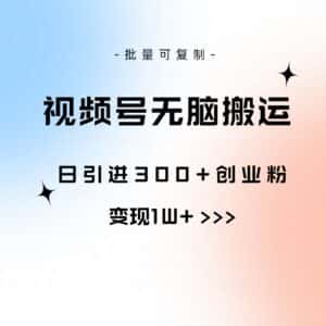 (10612期)视频号无脑搬运日引300+创业粉,变现1W+可批量复制-优优云创网