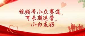 视频号小众赛道,可长期运营,小白友好-优优云创网