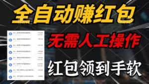 （10624期）全自动赚红包，无需人工操作，100%出收益，赚不到请你打死我-优优云创网