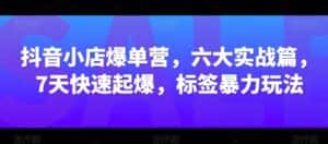 抖音小店爆单营，六大实战篇，7天快速起爆，标签暴力玩法-优优云创网
