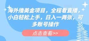 海外撸美金项目,全程看直播,小白轻松上手,日入一两张,可多账号操作-优优云创网