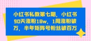 小红书私教第七期，小红书90天涨粉18w，1周涨粉破万，半年矩阵号粉丝破百万-优优云创网
