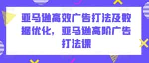 亚马逊高效广告打法及数据优化,亚马逊高阶广告打法课-优优云创网