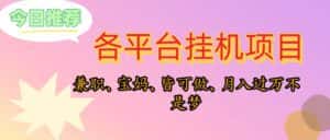 (10642期)靠挂机,在家躺平轻松月入过万,适合宝爸宝妈学生党,也欢迎工作室对接-优优云创网