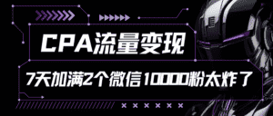 CPA流量变现，7天加满两个微信10000粉-优优云创网